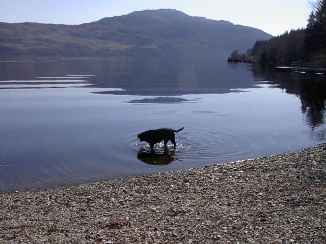 Tigh Na Bruach B&B Invermoriston Exterior foto